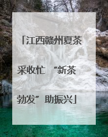 江西赣州夏茶采收忙 “新茶勃发”助振兴