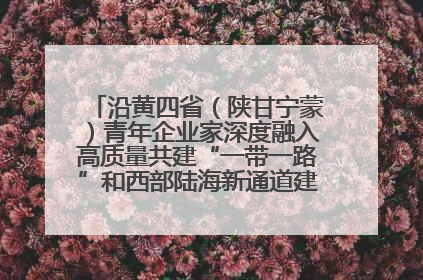 沿黄四省（陕甘宁蒙）青年企业家深度融入高质量共建“一带一路”和西部陆海新通道建设战略合作交流会在甘肃兰州召开