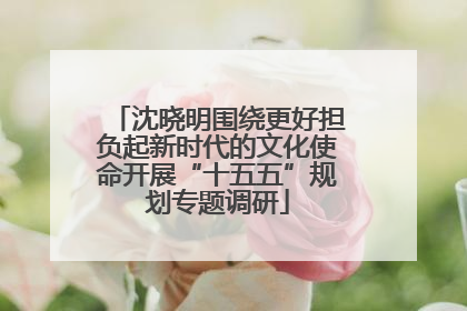 沈晓明围绕更好担负起新时代的文化使命开展“十五五”规划专题调研