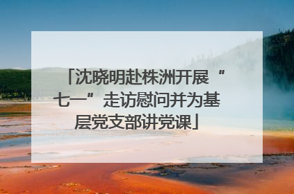 沈晓明赴株洲开展“七一”走访慰问并为基层党支部讲党课
