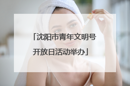 沈阳市青年文明号开放日活动举办