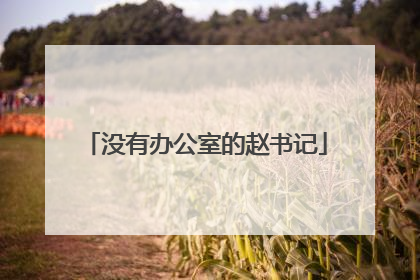 没有办公室的赵书记