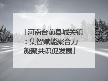 河南台前县城关镇：集智赋能聚合力 凝聚共识促发展