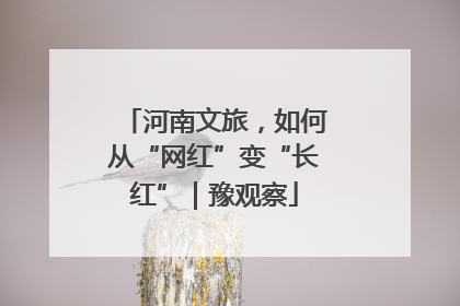 河南文旅，如何从“网红”变“长红”｜豫观察