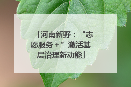 河南新野：“志愿服务＋”激活基层治理新动能