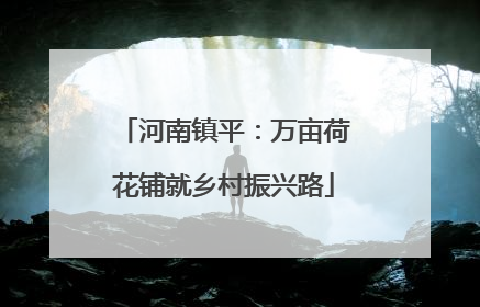 河南镇平：万亩荷花铺就乡村振兴路