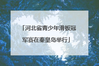 河北省青少年滑板冠军赛在秦皇岛举行
