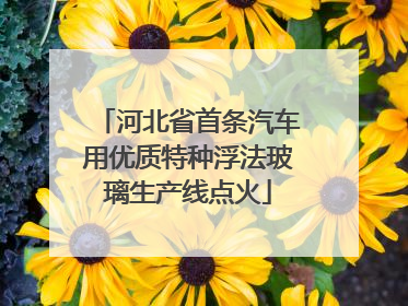 河北省首条汽车用优质特种浮法玻璃生产线点火
