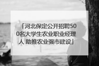 河北保定公开招聘500名大学生农业职业经理人 助推农业强市建设