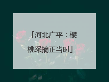 河北广平：樱桃采摘正当时