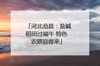 河北沧县：盐碱稻田过端午 特色农旅迎客来