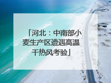 河北：中南部小麦生产区遭遇高温干热风考验