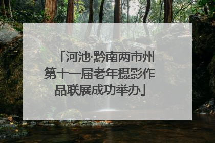 河池·黔南两市州第十一届老年摄影作品联展成功举办
