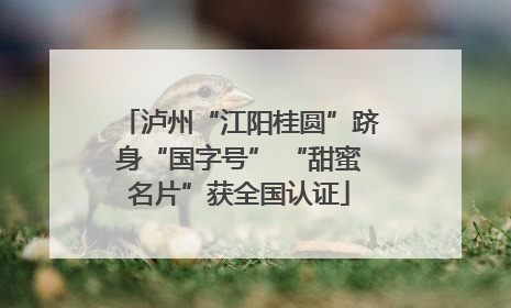 泸州“江阳桂圆”跻身“国字号” “甜蜜名片”获全国认证
