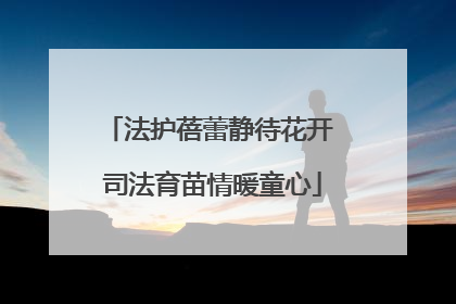 法护蓓蕾静待花开 司法育苗情暖童心