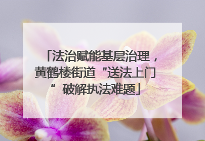 法治赋能基层治理，黄鹤楼街道“送法上门”破解执法难题