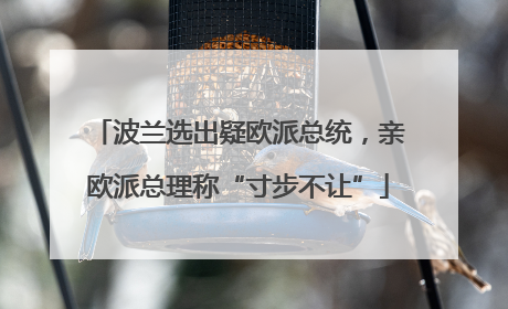 波兰选出疑欧派总统，亲欧派总理称“寸步不让”