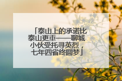 泰山上的承诺比泰山更重——聊城小伙受托寻英烈，七年四省终圆梦