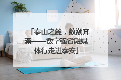 泰山之麓，数潮奔涌——数字强省融媒体行走进泰安