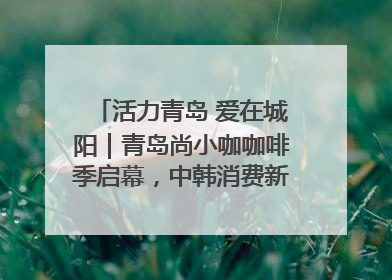 活力青岛 爱在城阳｜青岛尚小咖咖啡季启幕，中韩消费新场景点燃夏日热情