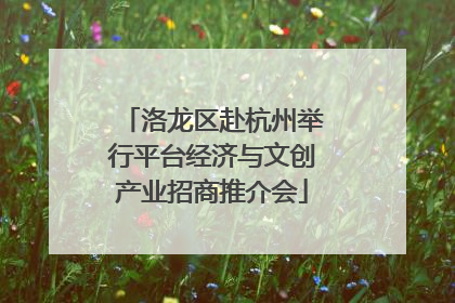 洛龙区赴杭州举行平台经济与文创产业招商推介会