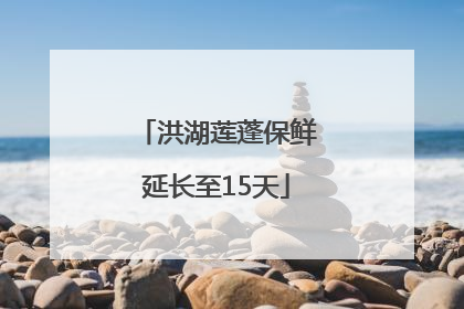 洪湖莲蓬保鲜延长至15天