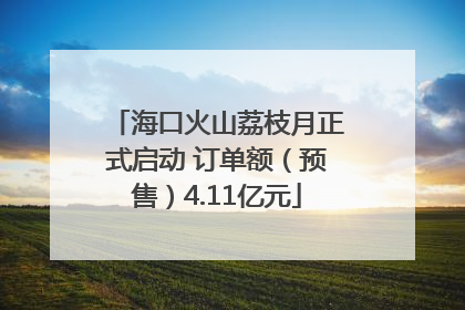 海口火山荔枝月正式启动 订单额（预售）4.11亿元