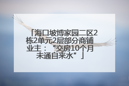 海口坡博家园二区2栋2单元2层部分商铺业主：“交房10个月未通自来水”