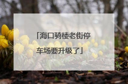 海口骑楼老街停车场要升级了