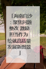 海南白沙：聚焦问题整改 激励担当作为 绘就高质量发展新图景