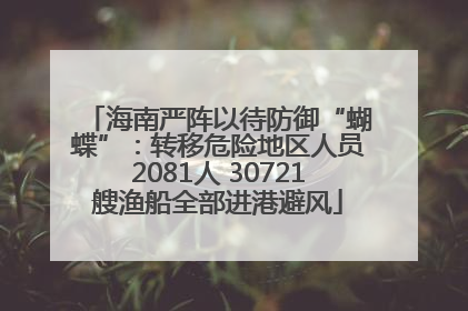 海南严阵以待防御“蝴蝶”：转移危险地区人员2081人 30721艘渔船全部进港避风