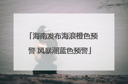 海南发布海浪橙色预警 风暴潮蓝色预警