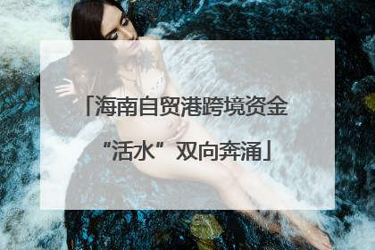 海南自贸港跨境资金“活水”双向奔涌