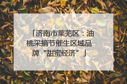 济南市莱芜区：油桃采摘节催生区域品牌“甜蜜经济”