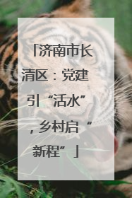 济南市长清区：党建引“活水”，乡村启“新程”