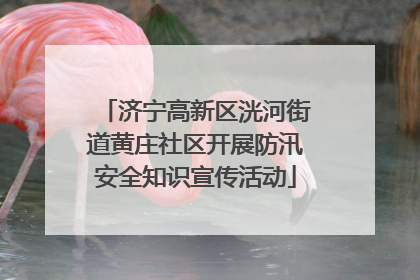 济宁高新区洸河街道黄庄社区开展防汛安全知识宣传活动