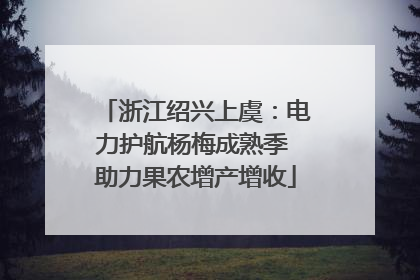 浙江绍兴上虞：电力护航杨梅成熟季 助力果农增产增收