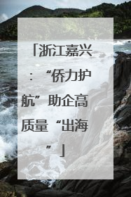 浙江嘉兴：“侨力护航”助企高质量“出海”
