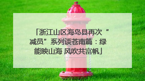 浙江山区海岛县再次“减员”系列谈苍南篇：绿能映山海 风吹共富帆