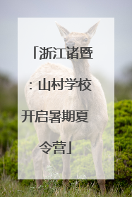 浙江诸暨：山村学校开启暑期夏令营