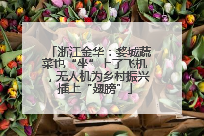浙江金华：婺城蔬菜也“坐”上了飞机，无人机为乡村振兴插上“翅膀”