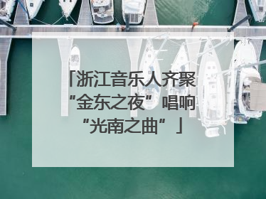 浙江音乐人齐聚“金东之夜”唱响“光南之曲”
