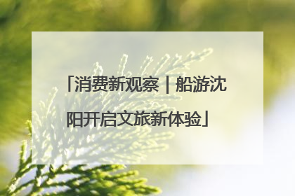 消费新观察｜船游沈阳开启文旅新体验