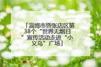 淄博市暨张店区第38个“世界无烟日”宣传活动走进“小义乌”广场