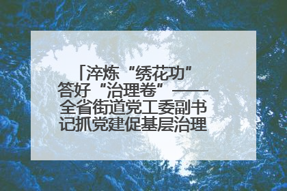 淬炼“绣花功” 答好“治理卷”——全省街道党工委副书记抓党建促基层治理培训示范班侧记