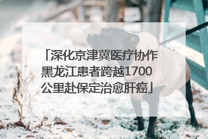 深化京津冀医疗协作 黑龙江患者跨越1700公里赴保定治愈肝癌