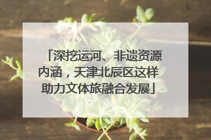 深挖运河、非遗资源内涵，天津北辰区这样助力文体旅融合发展