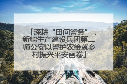 深耕“田间警务”，新疆生产建设兵团第二师公安以警护农绘就乡村振兴平安画卷