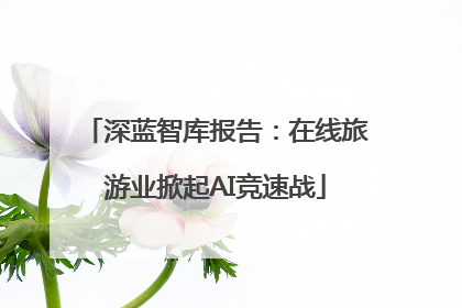 深蓝智库报告：在线旅游业掀起AI竞速战