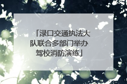 渌口交通执法大队联合多部门举办驾校消防演练